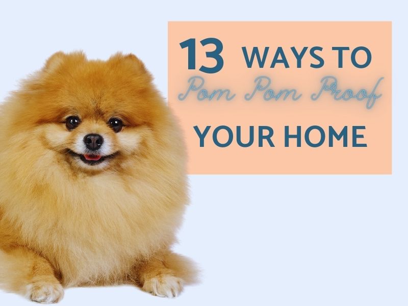 13 Ways to Pom Pom Proof your home