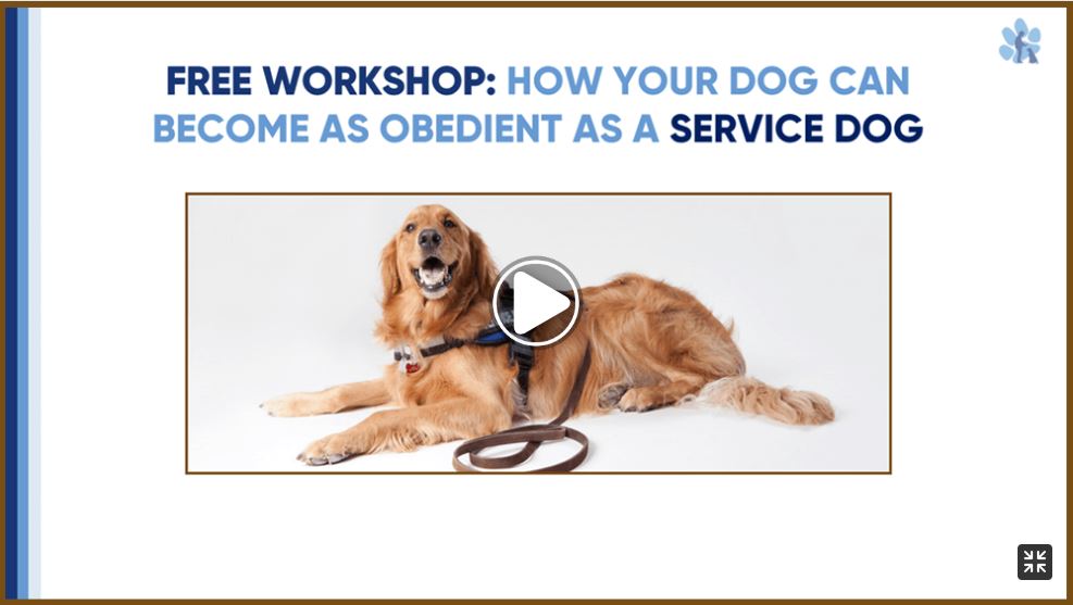 Video on K9 Free Workshop for online dog training