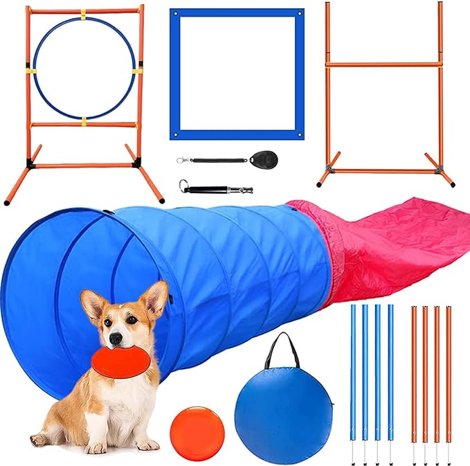 obstacle kit for dog