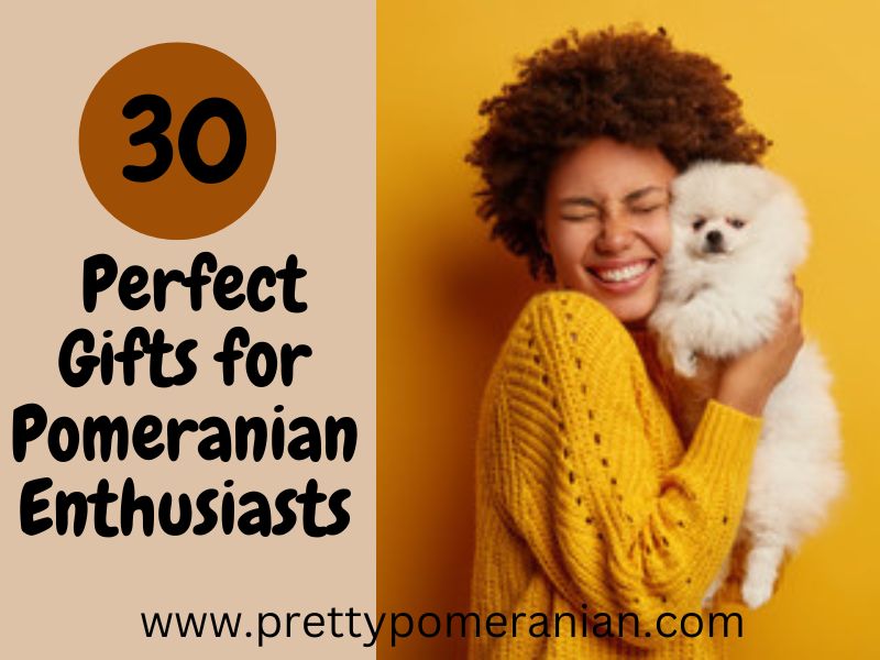 30 perfect present for pomeranian owners pin
