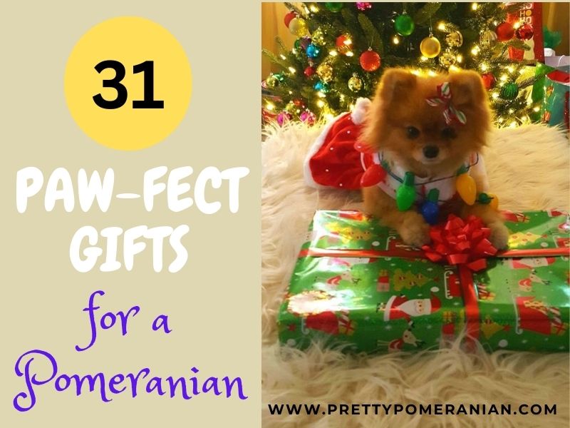 31 perfect gifts for a pomeranian pin