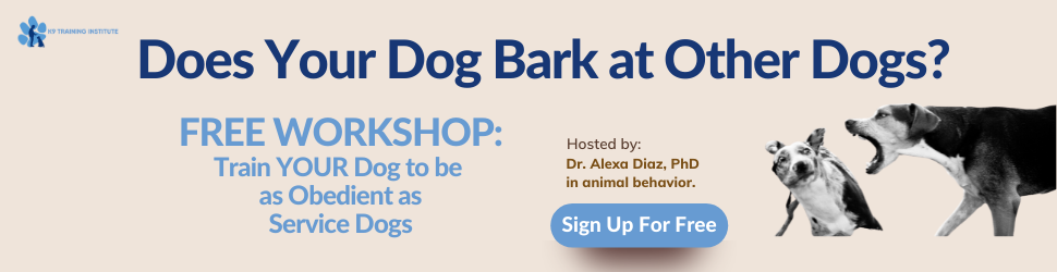does your dog bark at other dogs 970x250 1