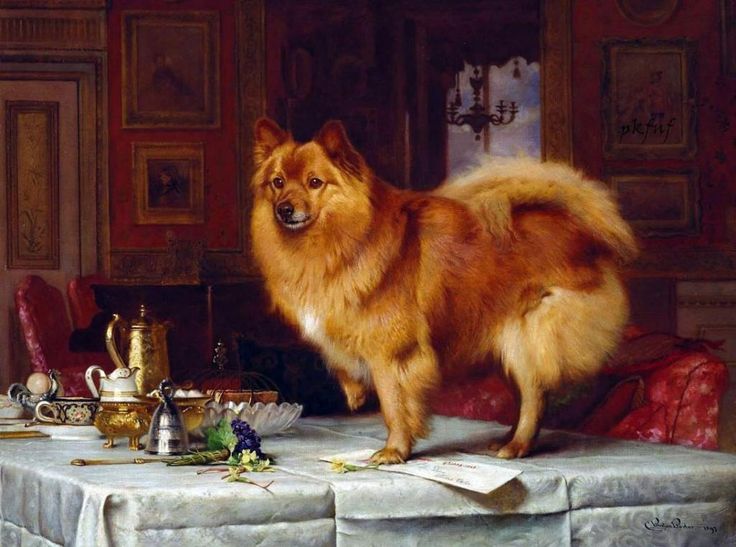 Marco on the Queens breakfast table by Charles Burton Barber