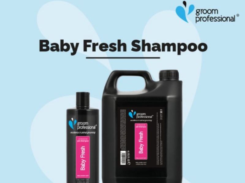 groom professional baby fresh shampoo cologne