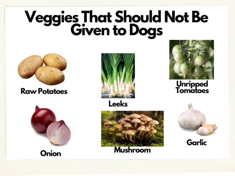 vegetables that dogs should not eat