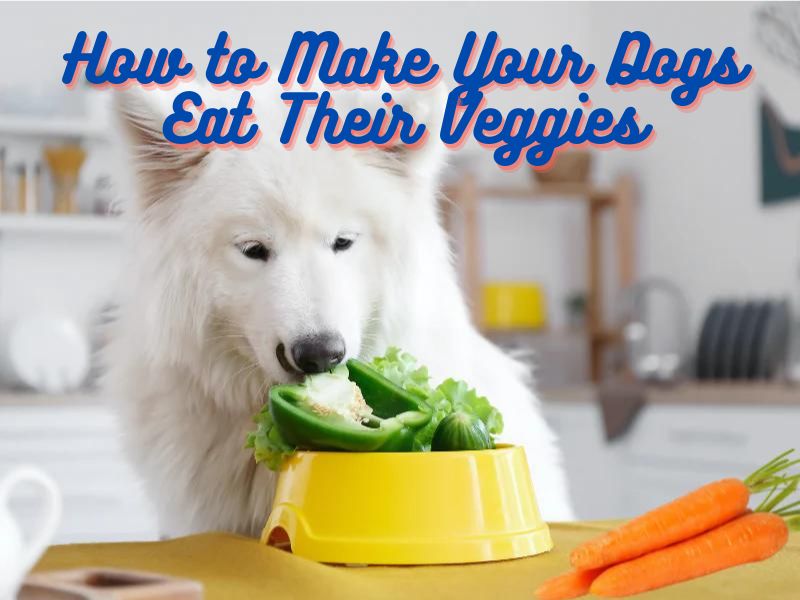 How to Make Your Dog Eat Their Veggies