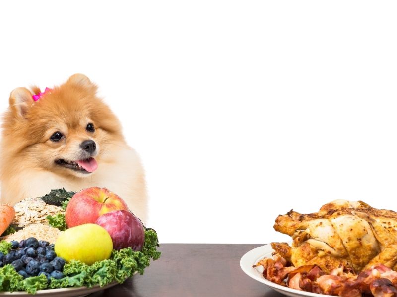 meat vs vegetables for dogs