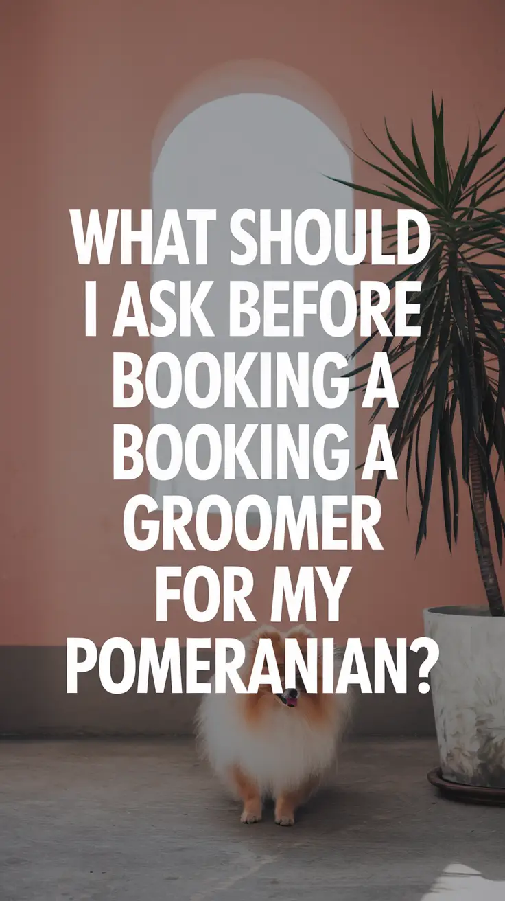 Big text overlay saying: What Should I Ask Before Booking a Groomer for My Pomeranian?. It's designed to immediately grab attention with its thick, distinctive lettering set prominently in a big dark colored box, utilizing a simple yet striking bold white color for the text.